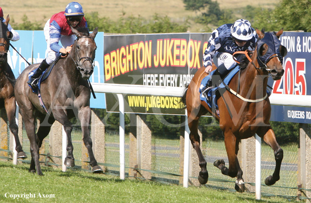 Sea Admiral winning at Brighton